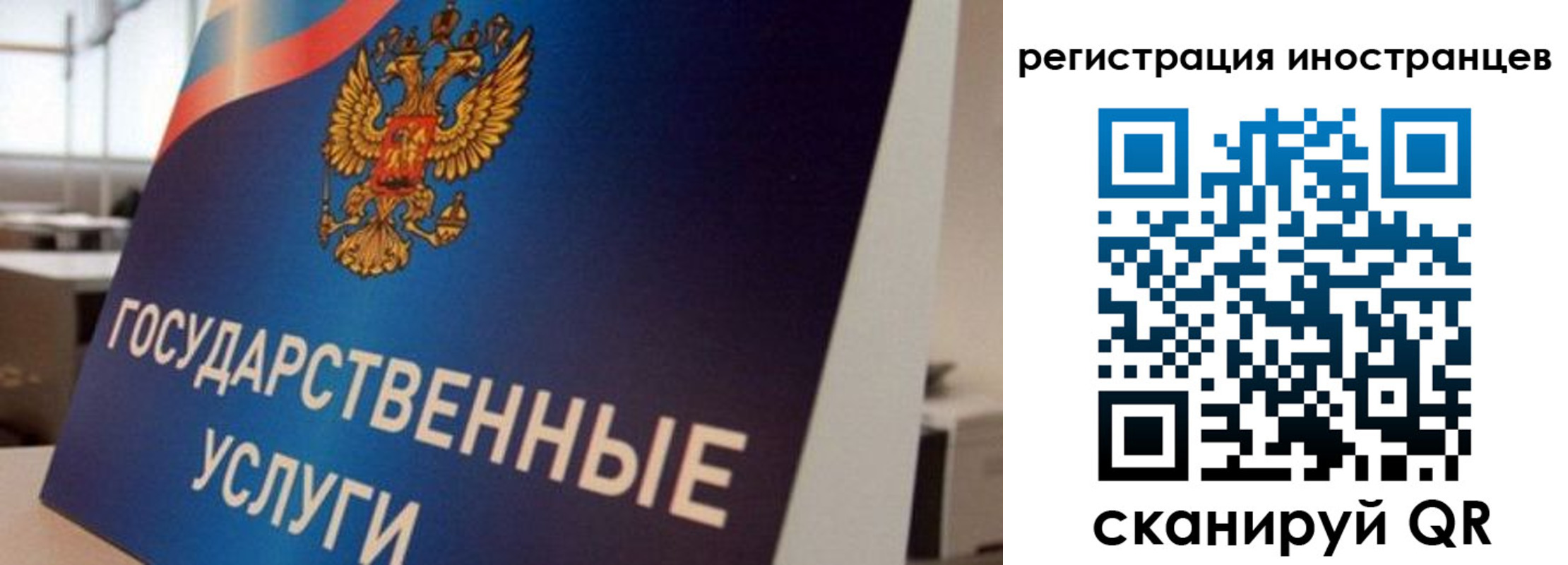 временная прописка в Коле